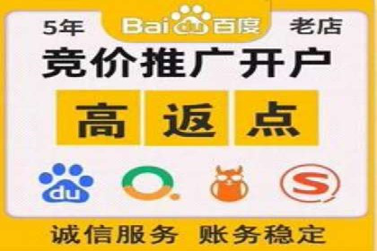 百度竞价代理的投放技巧与效果评估案例